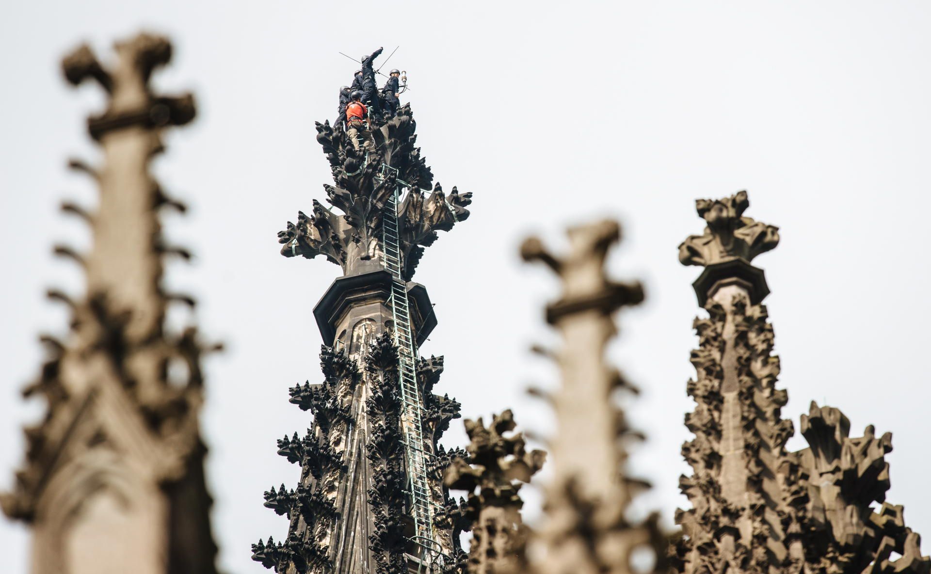 cob_20180711_DOM_7