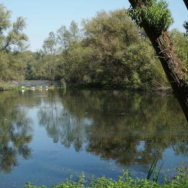 Langeler-Weiher