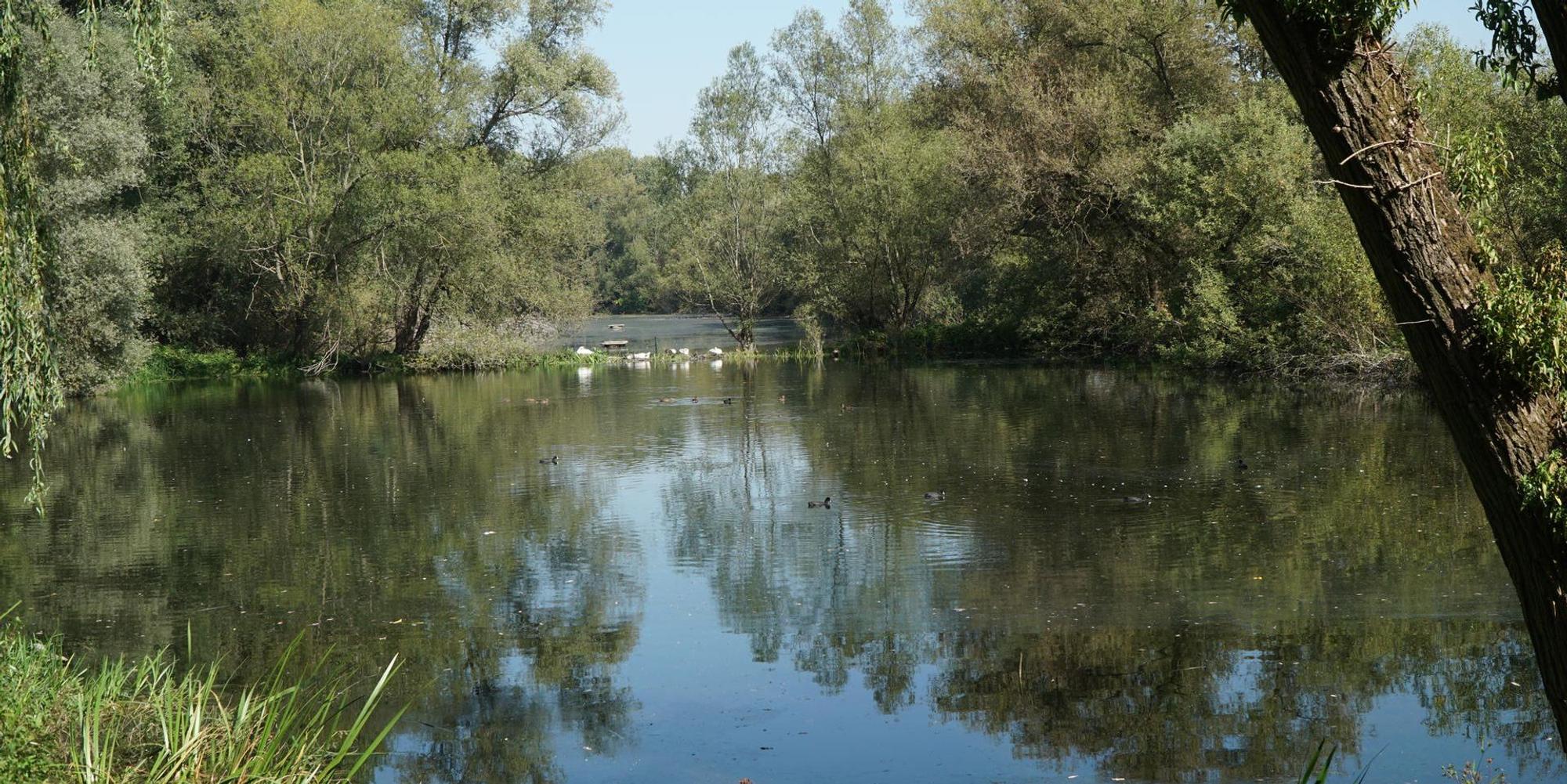 Langeler-Weiher
