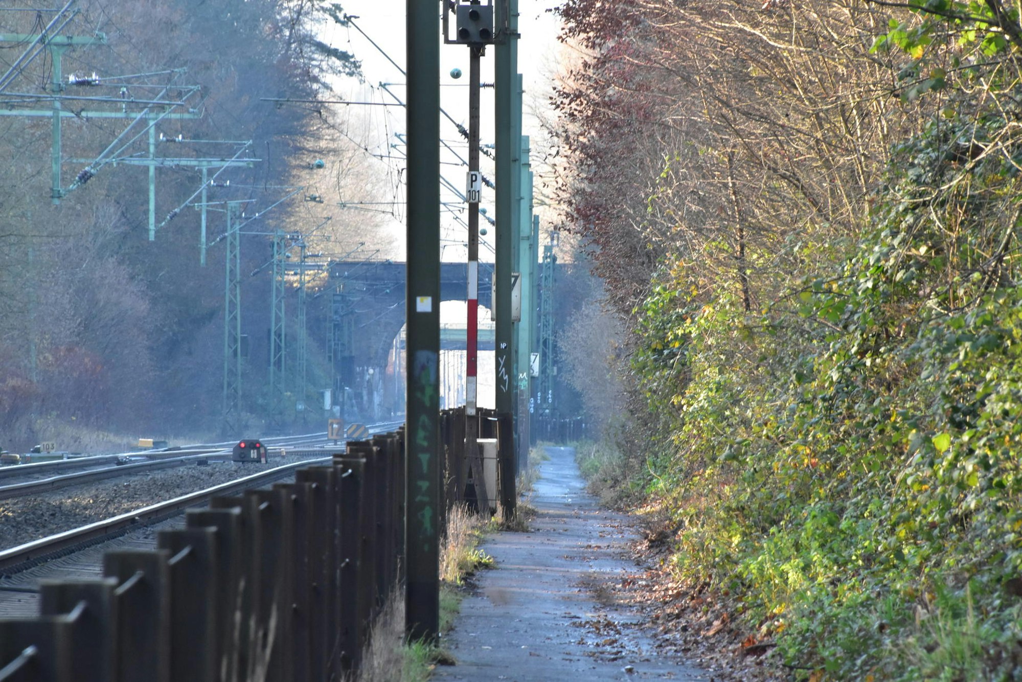 Schwarzer_Weg2