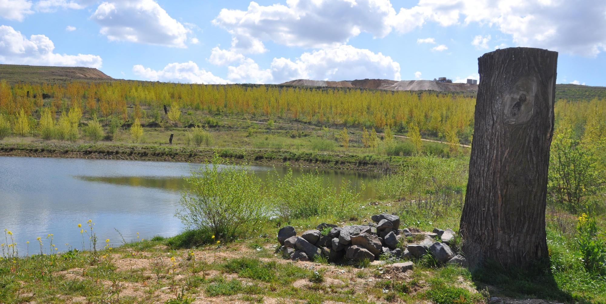 el-Sophienhoehe-Wanderwege-FTZ_(7)