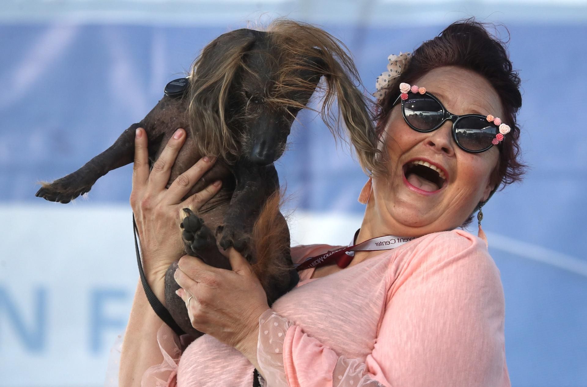 Worlds Ugliest Dog 1