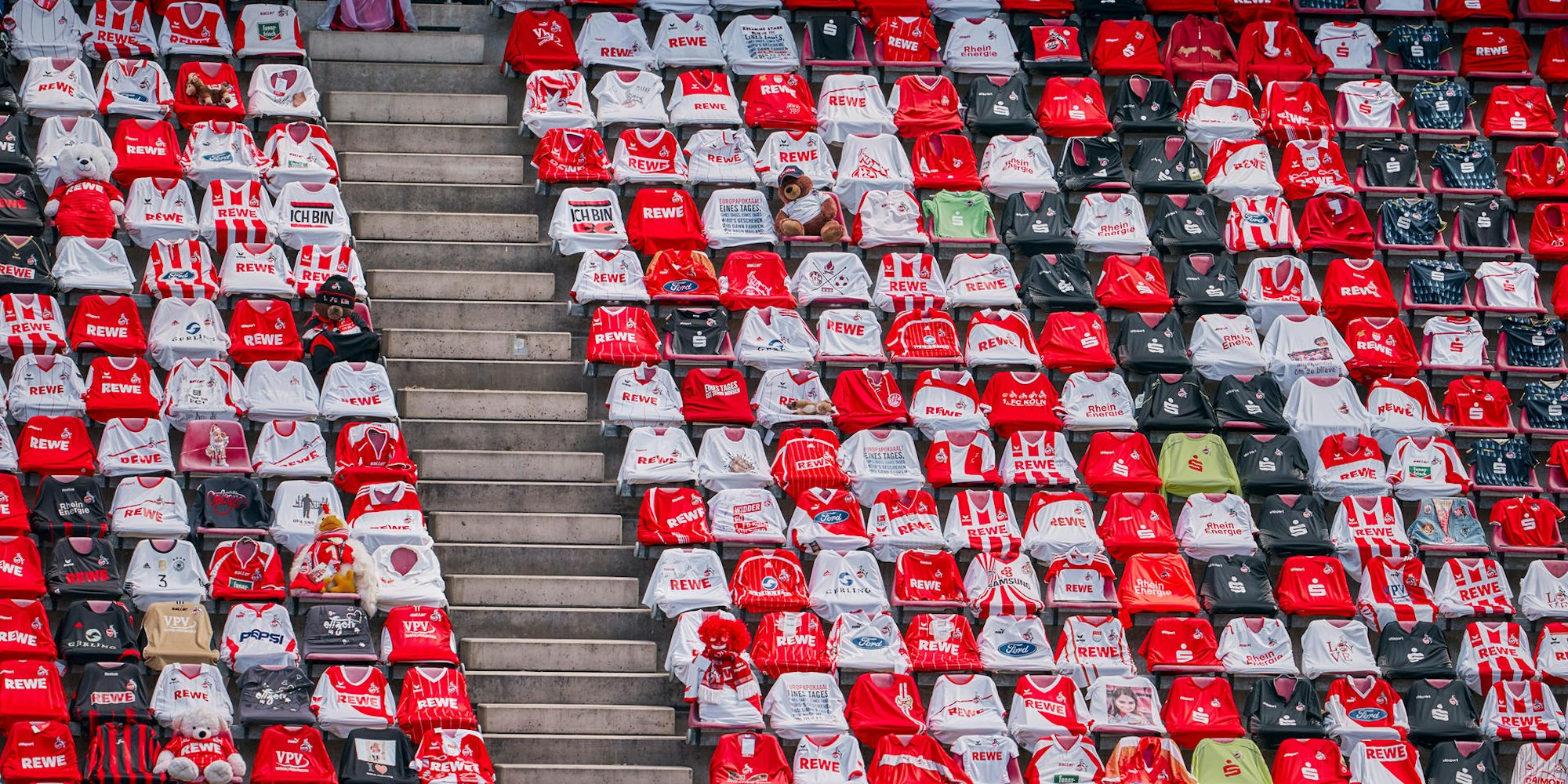 FC1 Thomas Fähnrich, 1. FC Köln