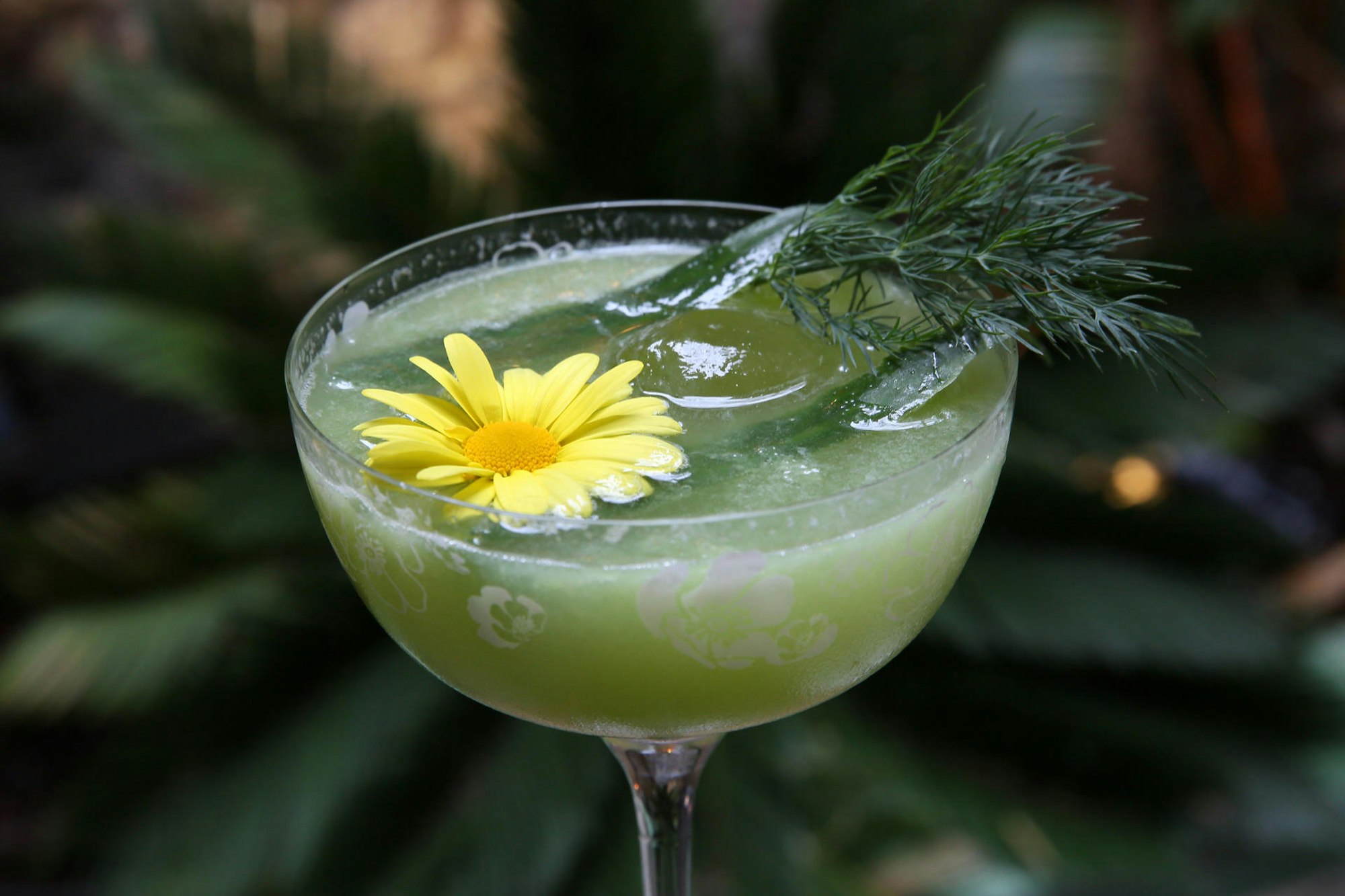 Karneval Drinks zum Ausnüchtern Gurke Ingwer