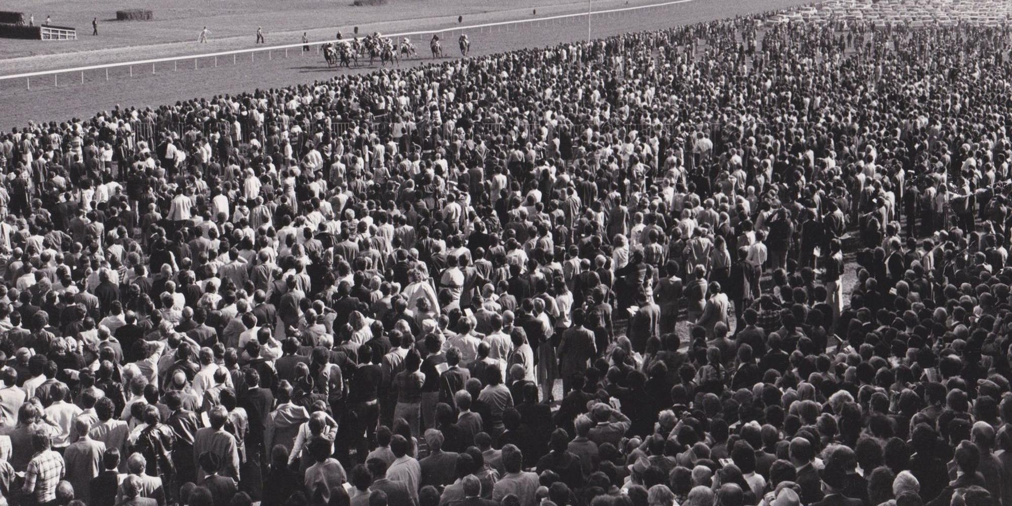 Galopp_Rennbahn