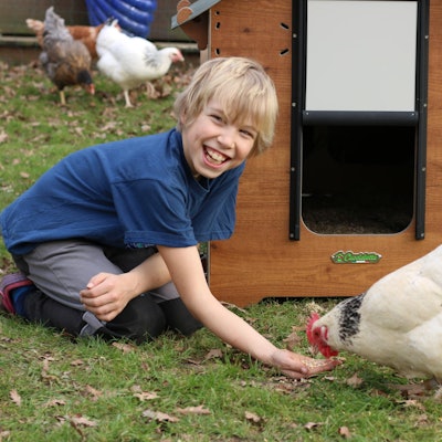 IMG_7096_copyright Chicken on Tour