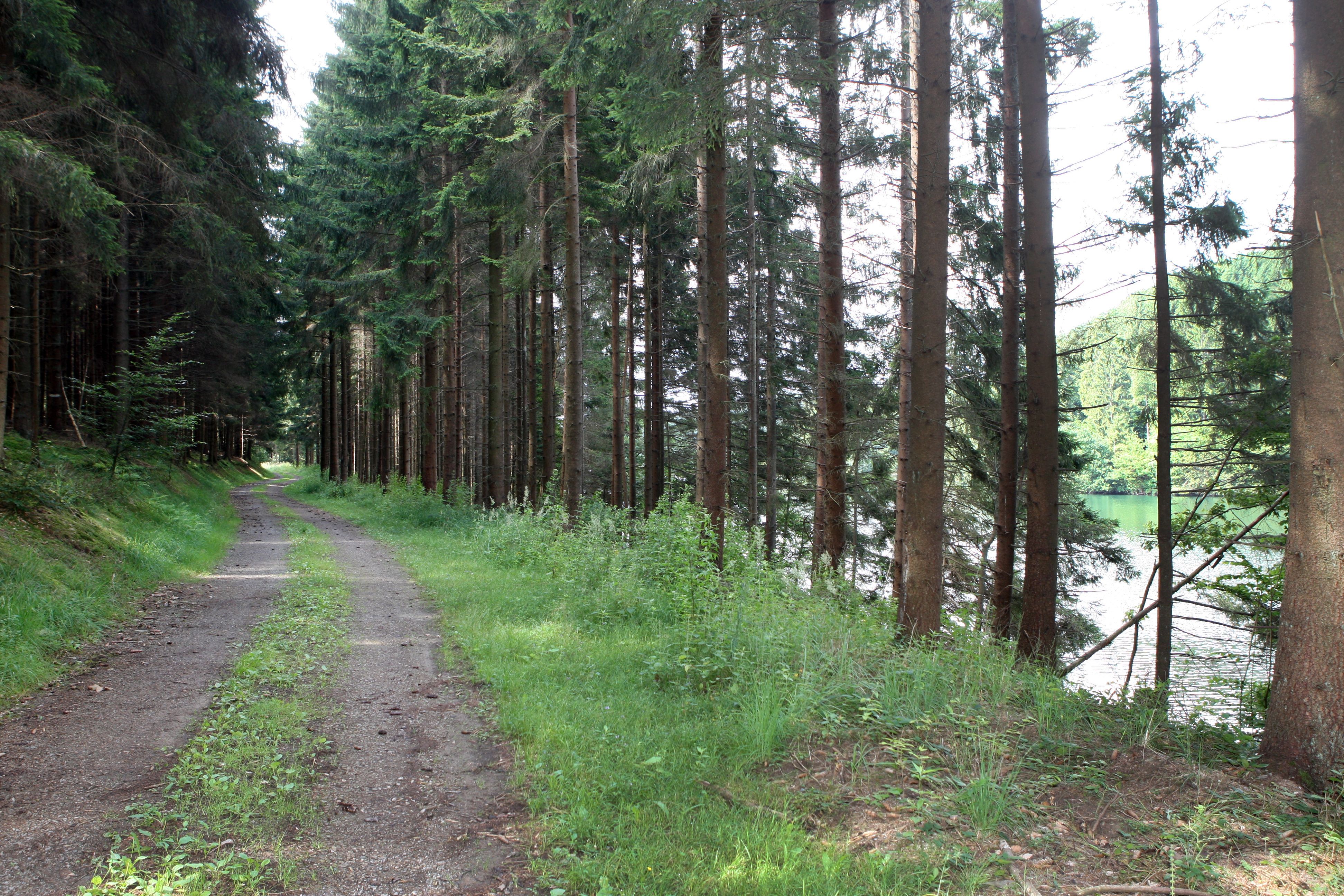 Kue_Wanderweg_Vorsperre_7367
