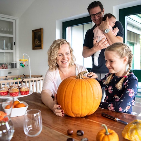 Familie Brobach - Text eine lange suche geht zu ende