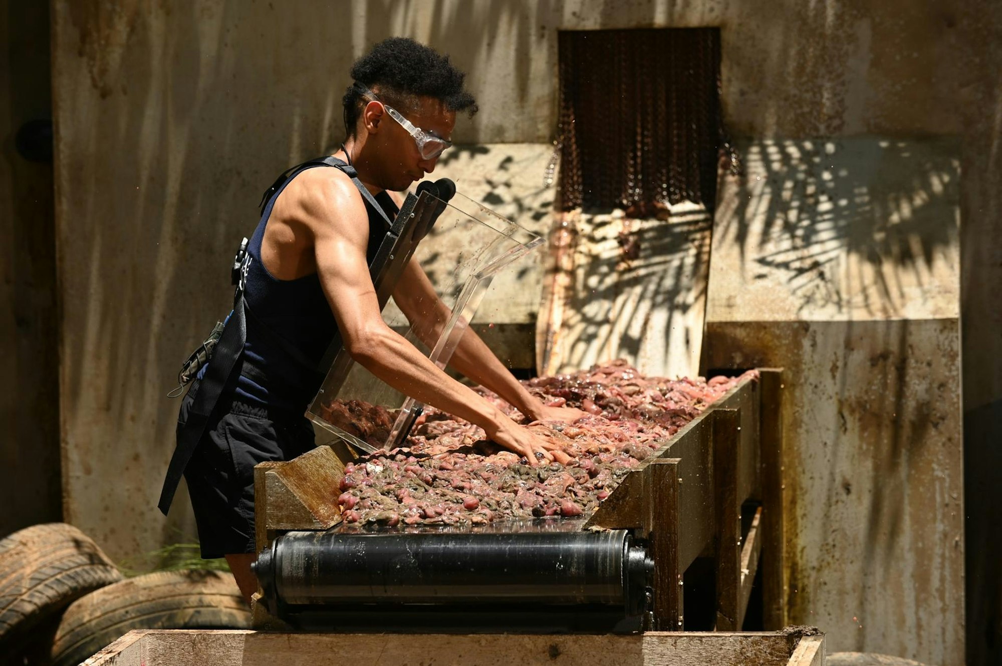 Dschungel_Tag 12_Damien