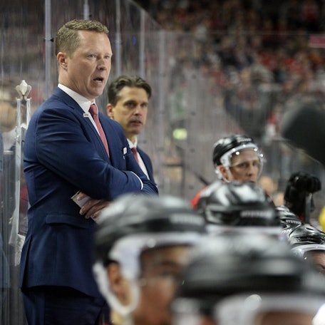 Mike Stewart Haie dpa