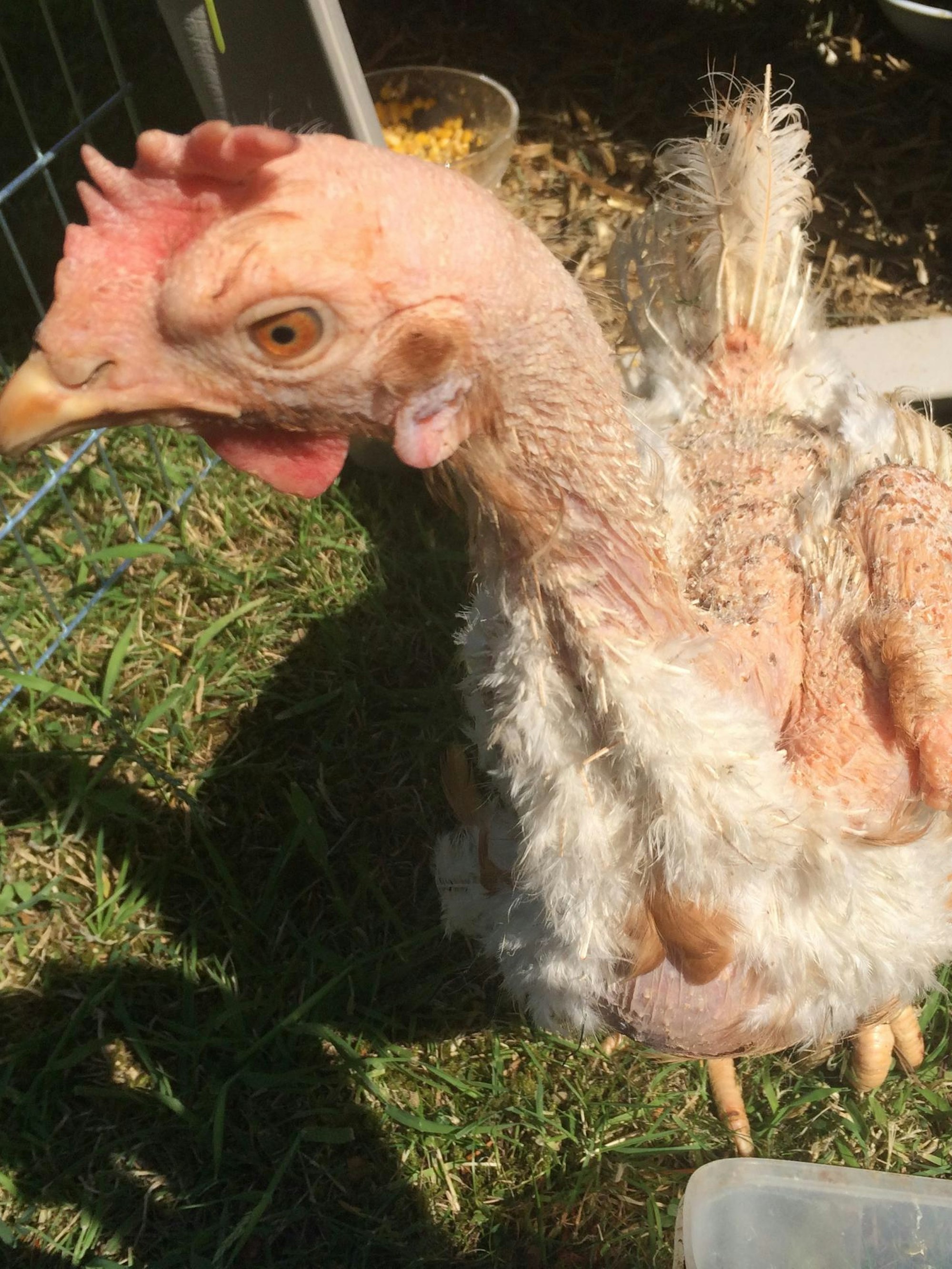 Locke_vorher_copyright Hilgers