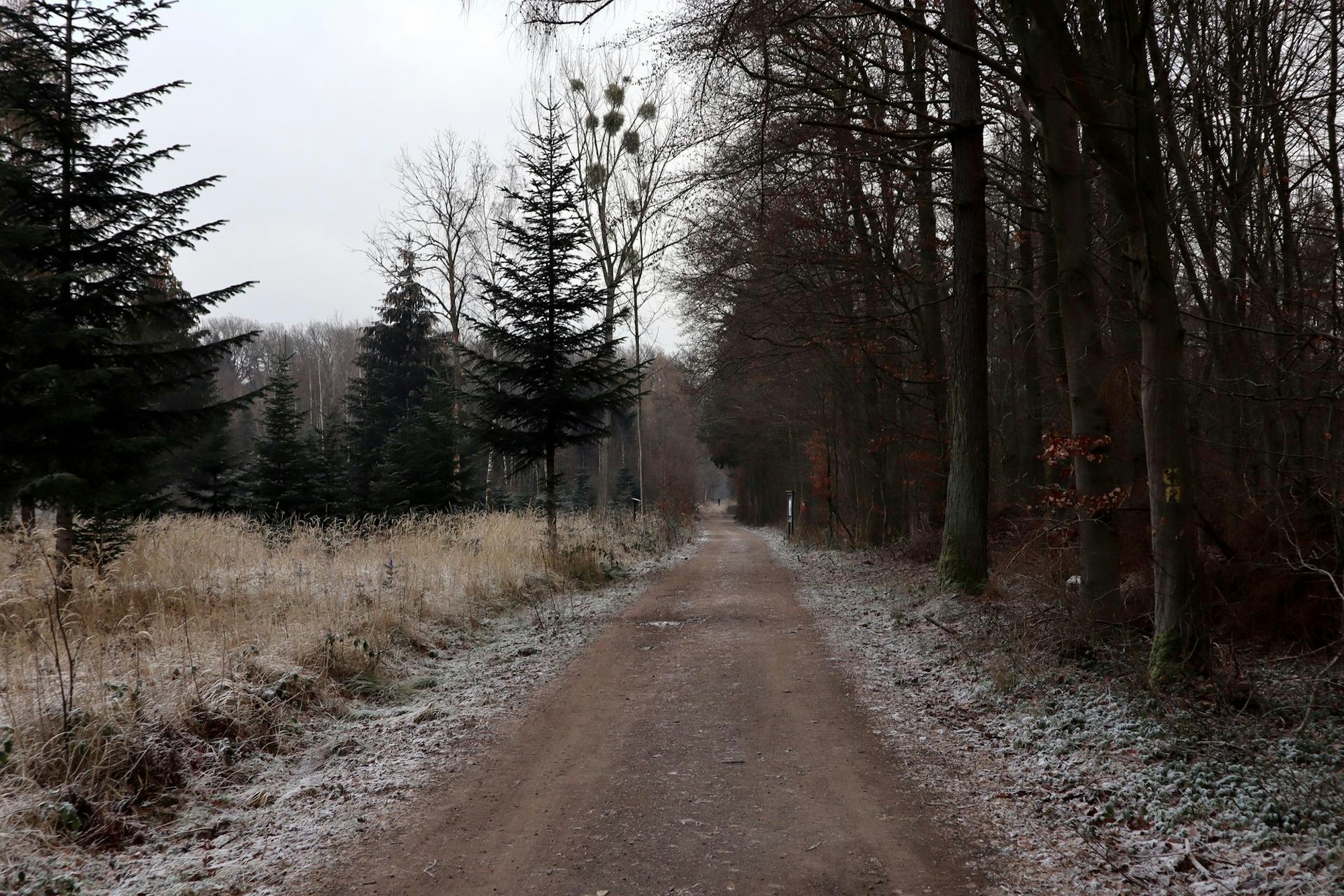 Wanderweg über das Hochplateau