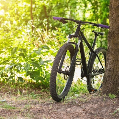 Radtour_Symbol_PAuse_GettyImagesProstock-Studio-1210732919