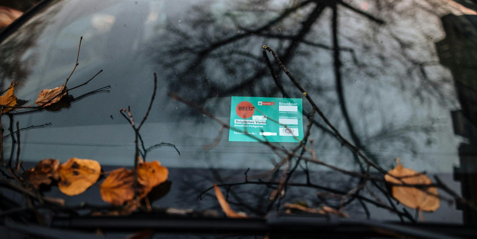 Autoscheibe