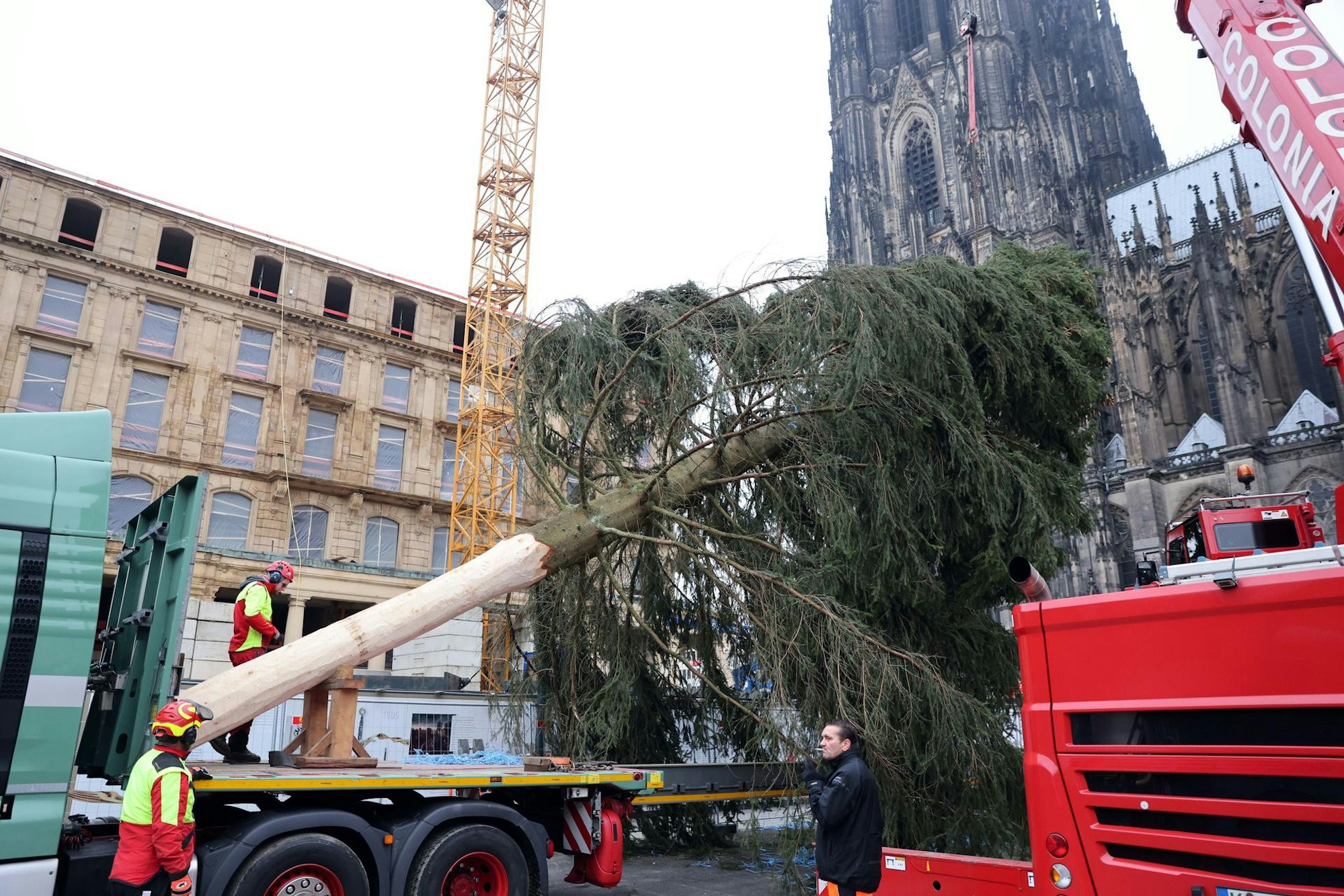 nab211112_Baum_Weihnachtsmarkt_02