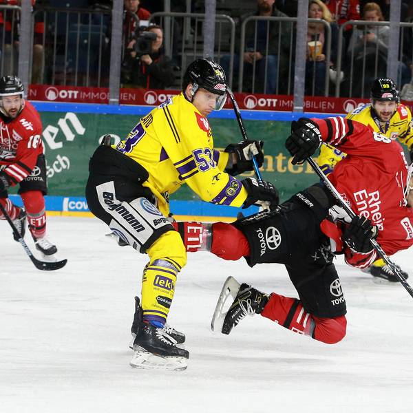 Haie Krefeld