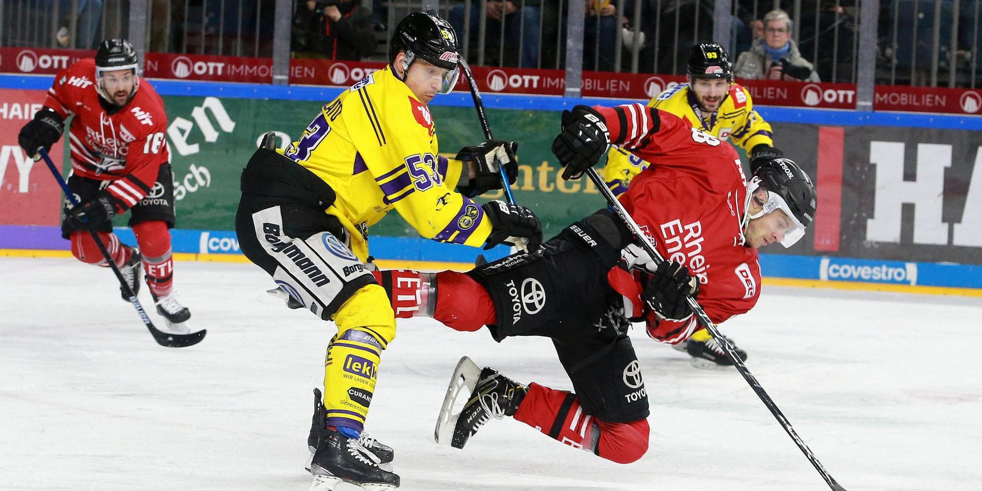 Haie Krefeld