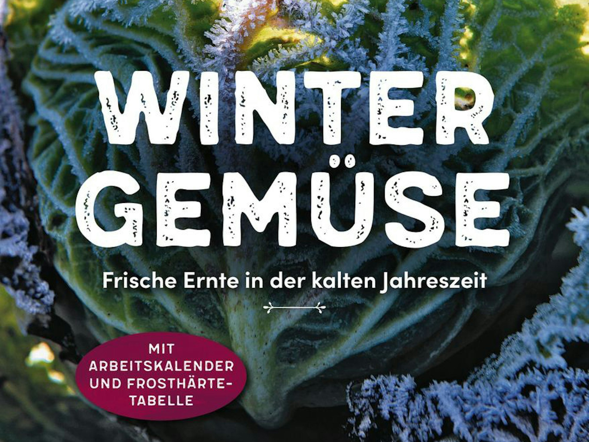 Wintergemuese_Cover