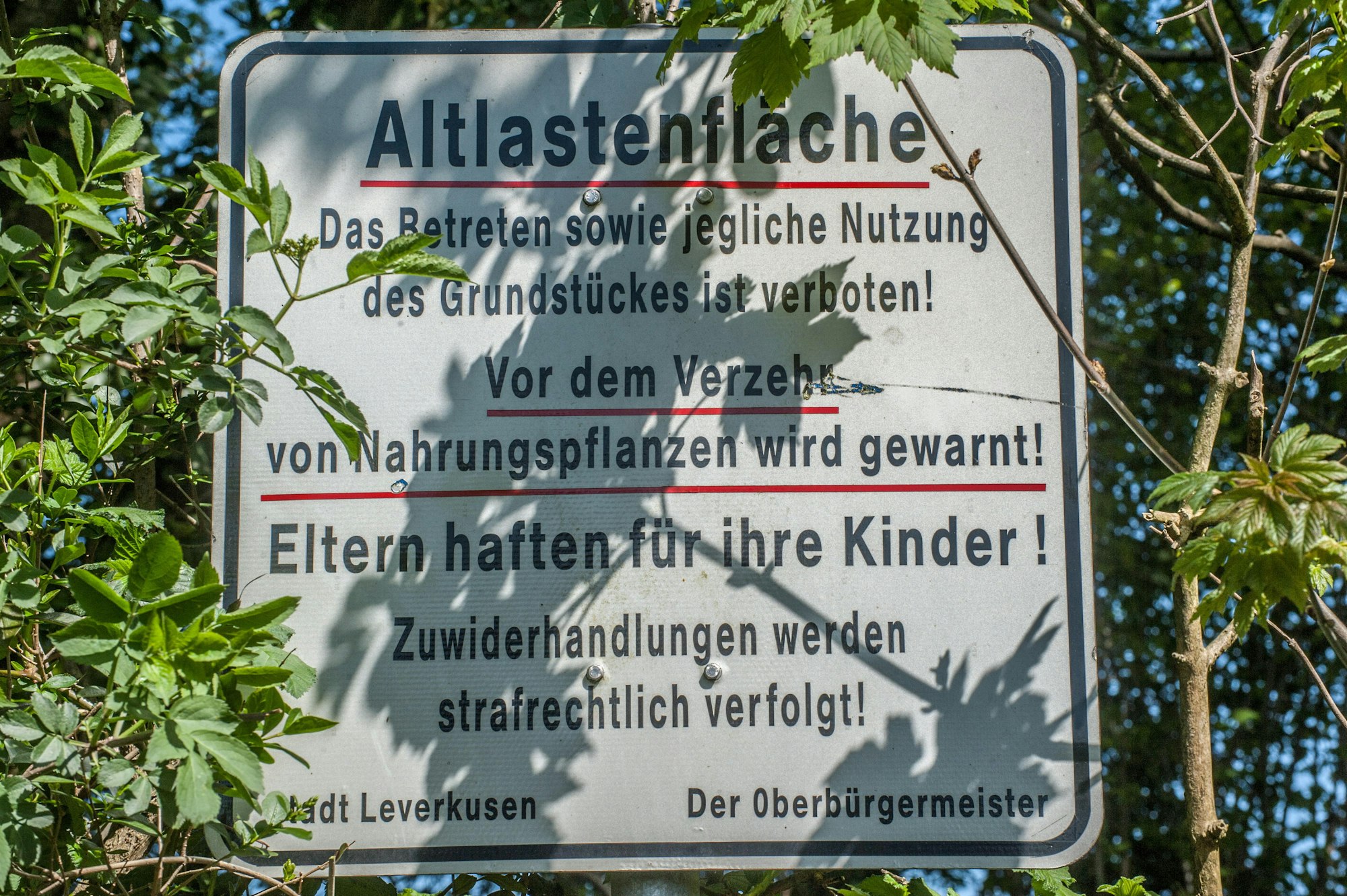 leverkusen-altlast-heinrich-claes-strasze-ALF_5728