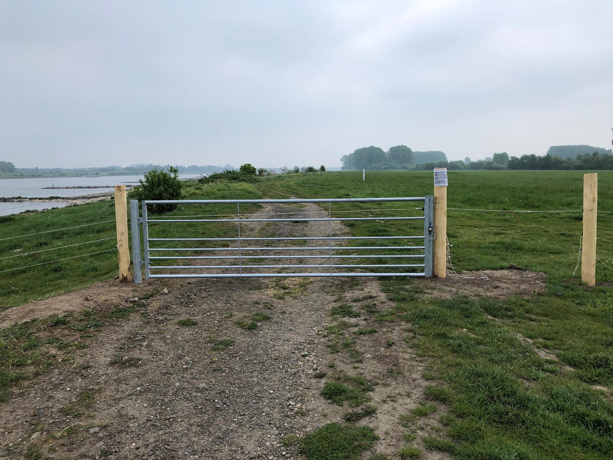 MDS-KSTA-2019-05-07-71-146972557 (2)