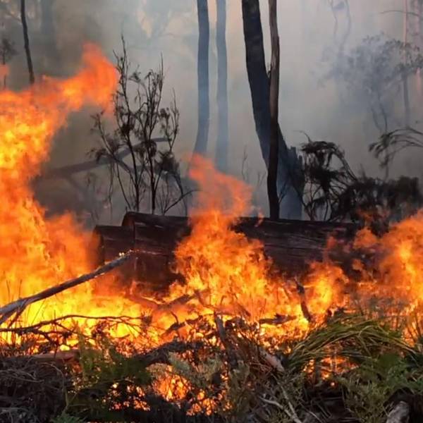 Australien Feuer neu dpa