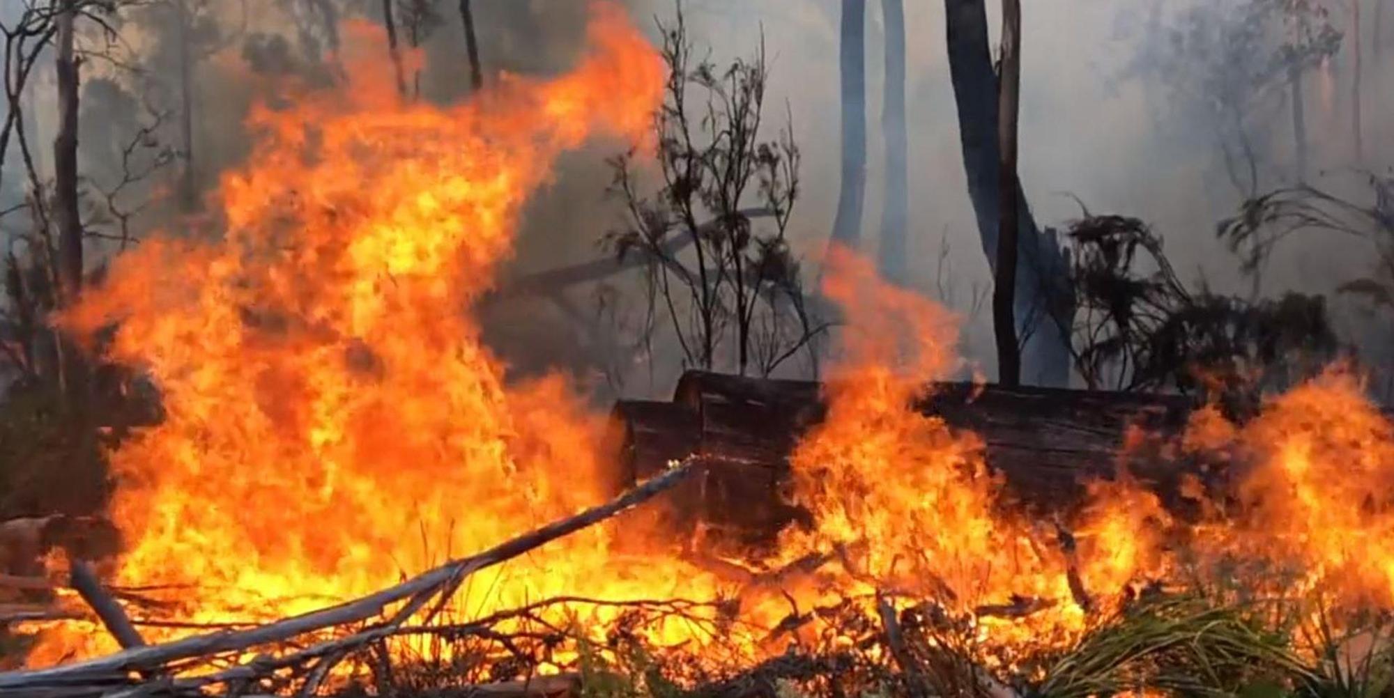 Australien Feuer neu dpa