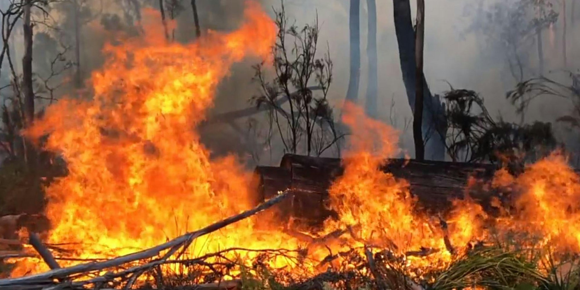 Australien Feuer neu dpa