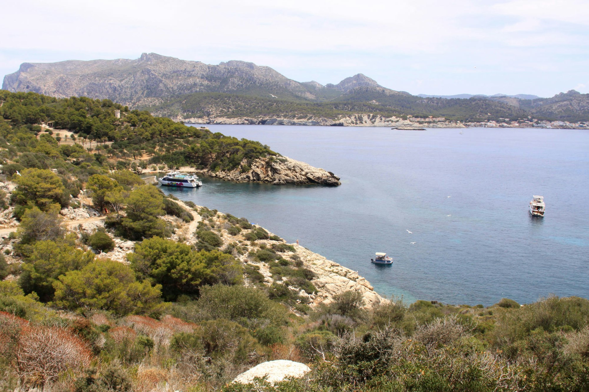 Mallroca_Insel La Dragonera