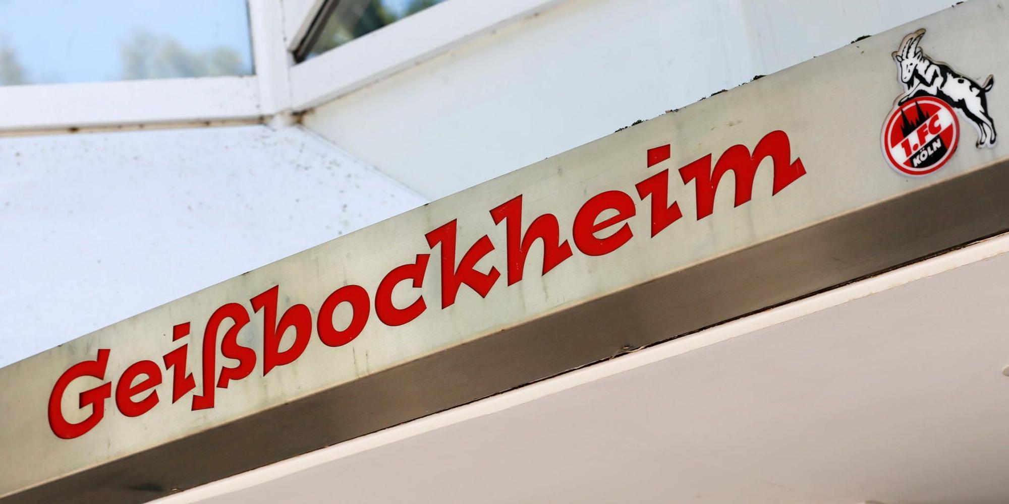 20190823_tb_Geissbockheim_012