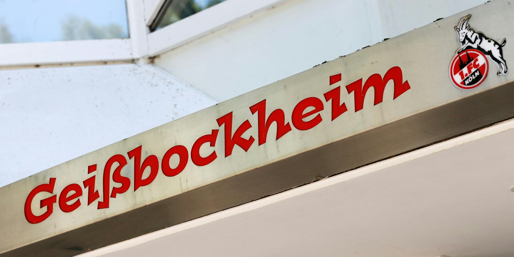 20190823_tb_Geissbockheim_012