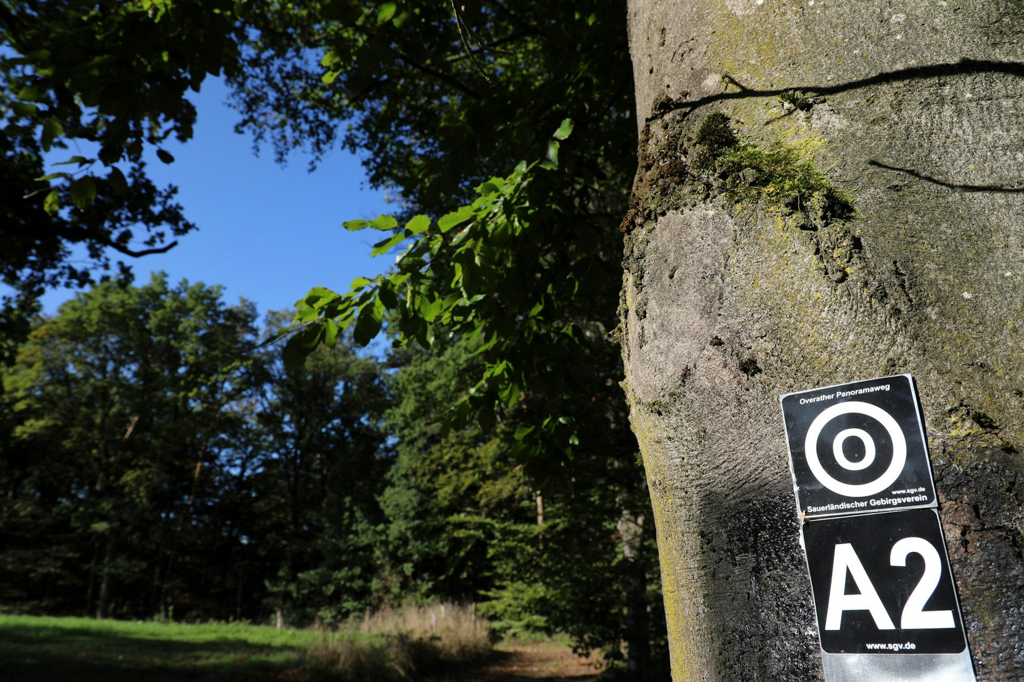 Wandertag Panoweg Wagner 1