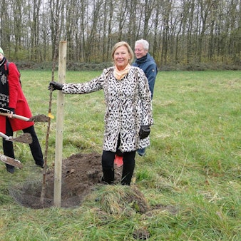 Spatenstich Arboretum  (2)