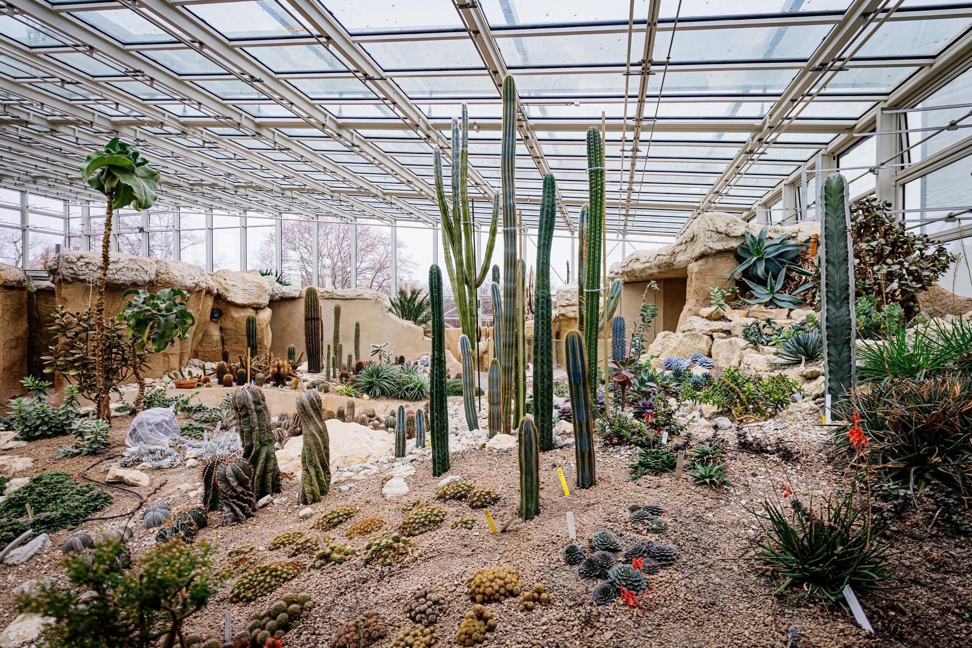 Bundesgartenschau 2