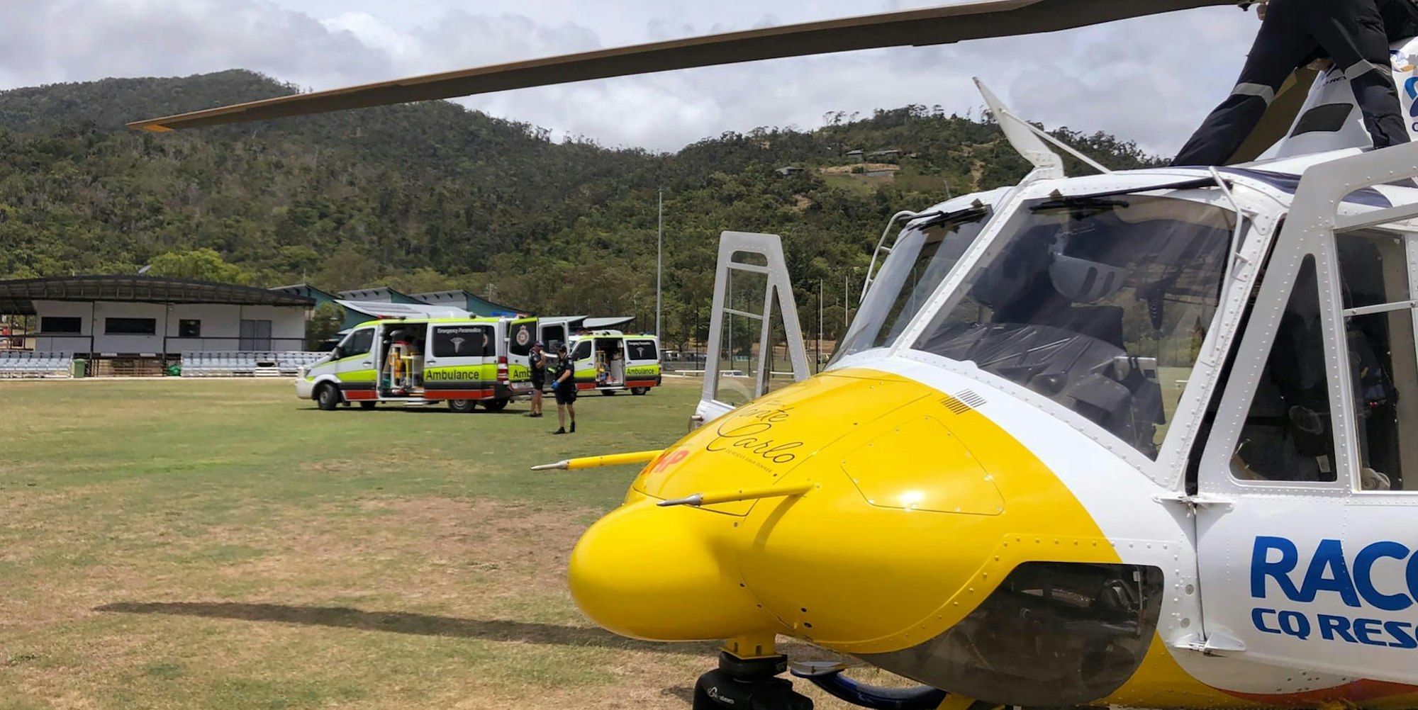 Hai Australien 291019