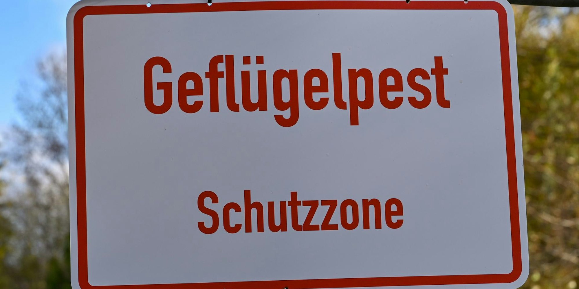 Geflügelpest 101022