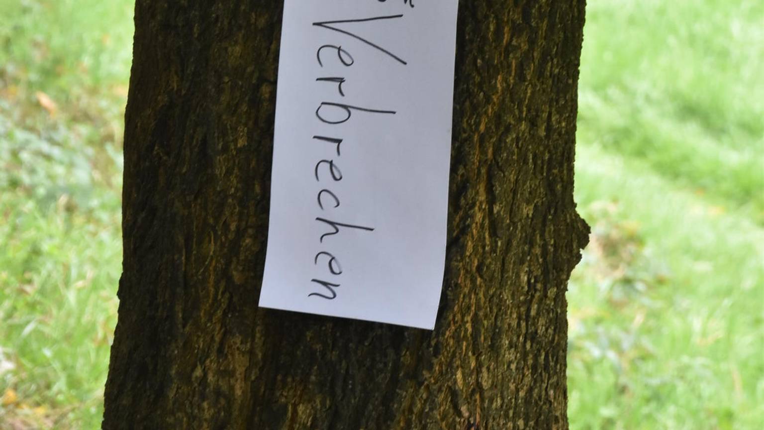 Neuer Inhalt