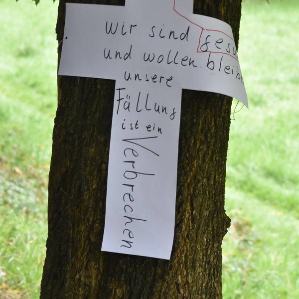 Neuer Inhalt
