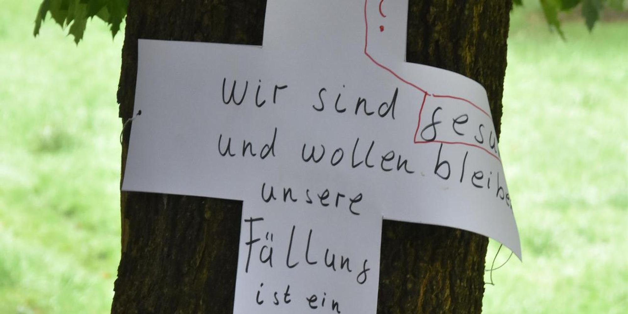 Neuer Inhalt