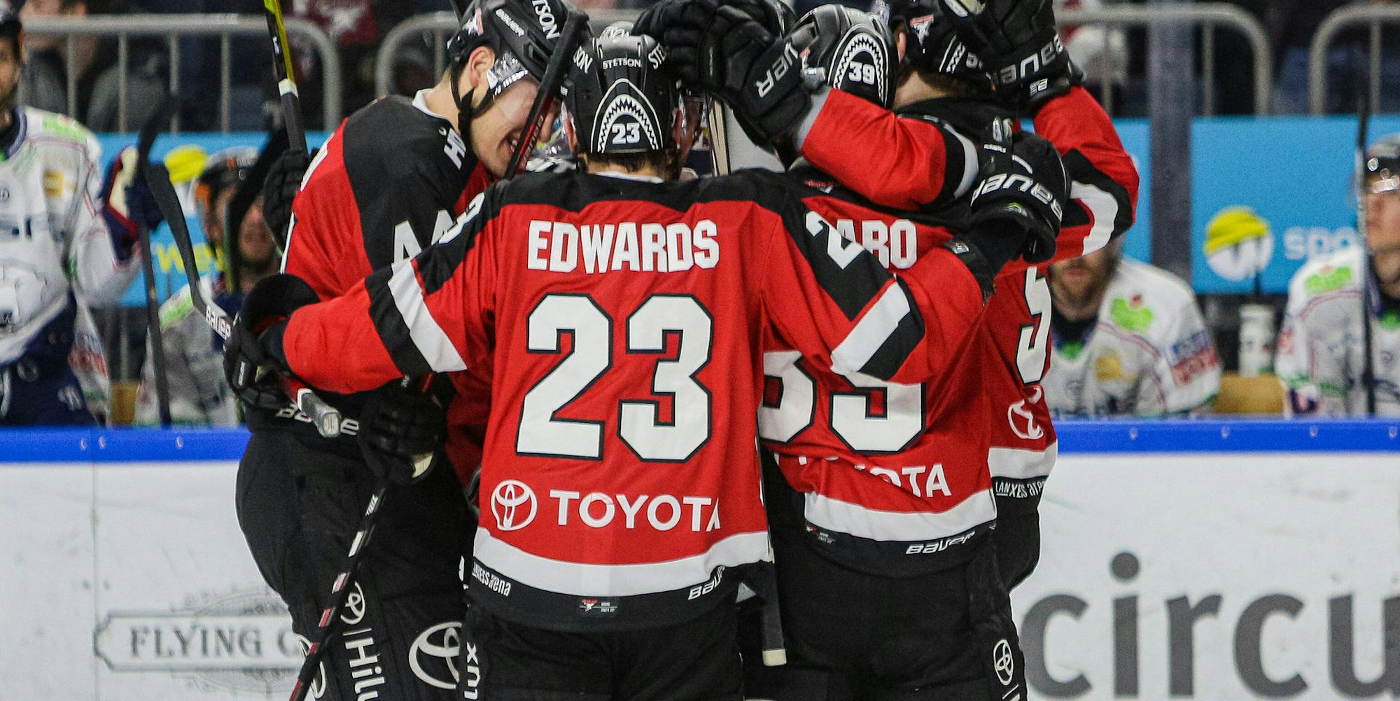 Kölner Haie beim Spiel gegen die Eisbären