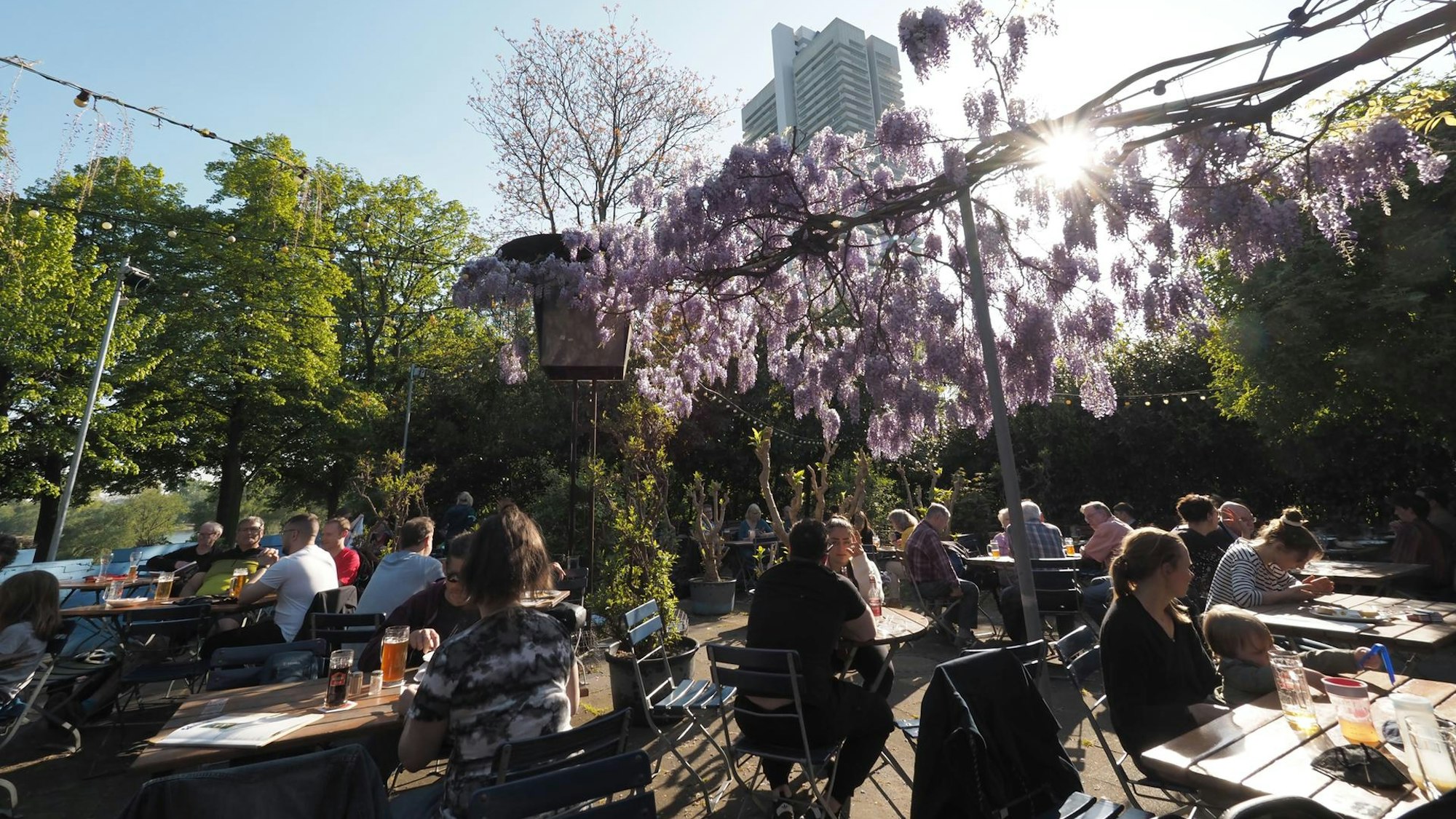 Der Biergarten „Altes Schwimmbad" in Riehl
