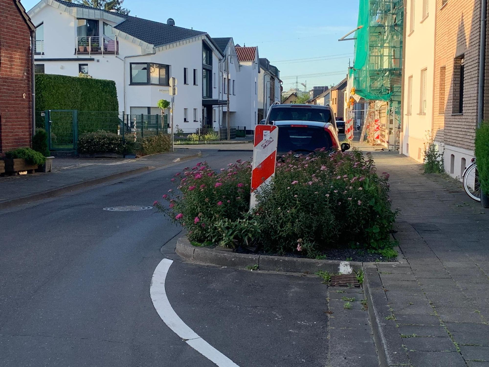 Neuer Inhalt (3)