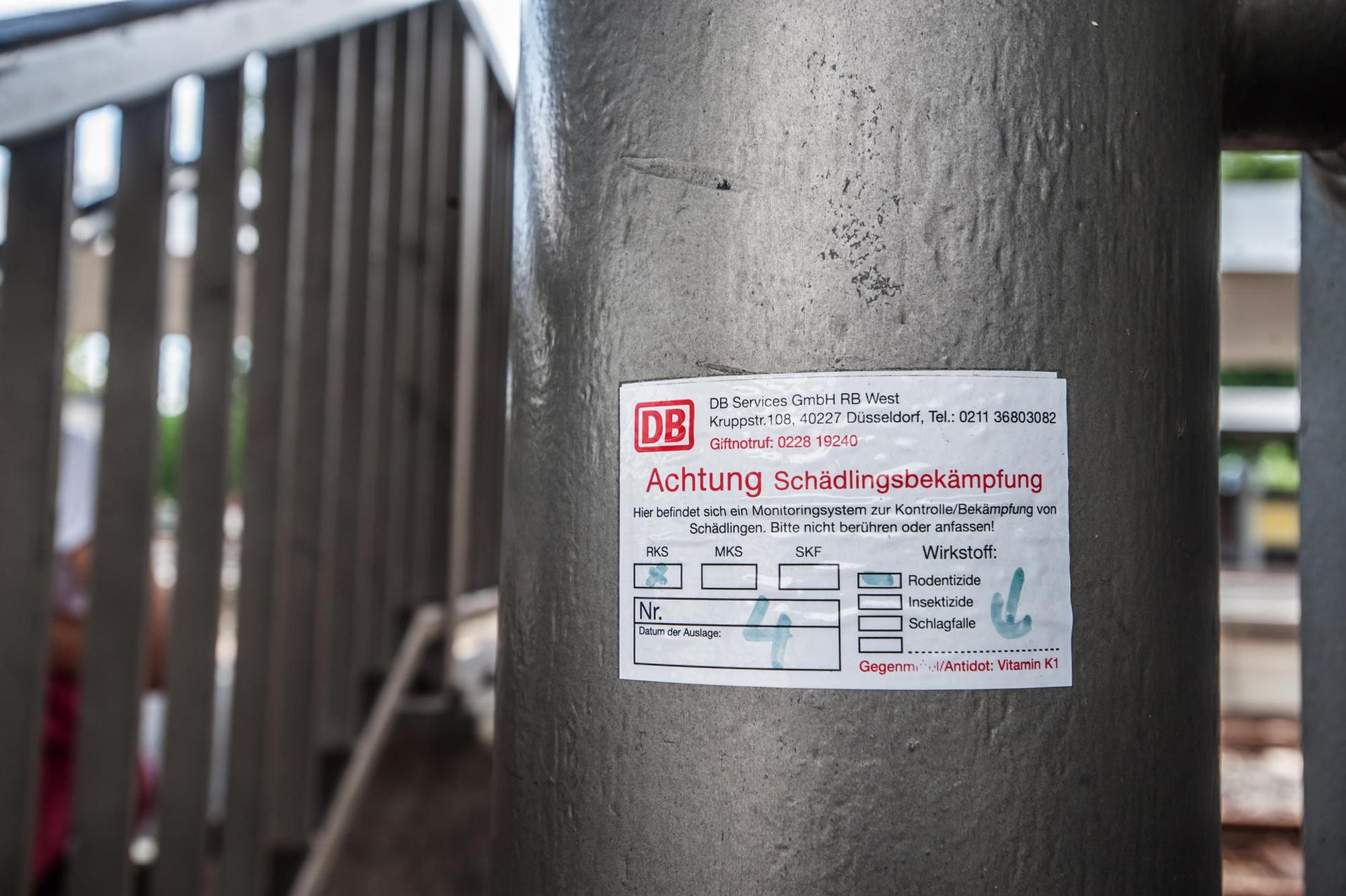 leverkusen-ratten--ALF_0346