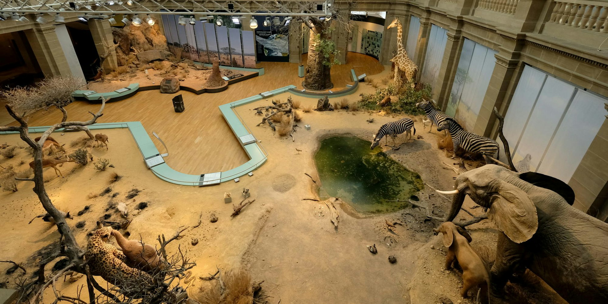 Museum König Grönert