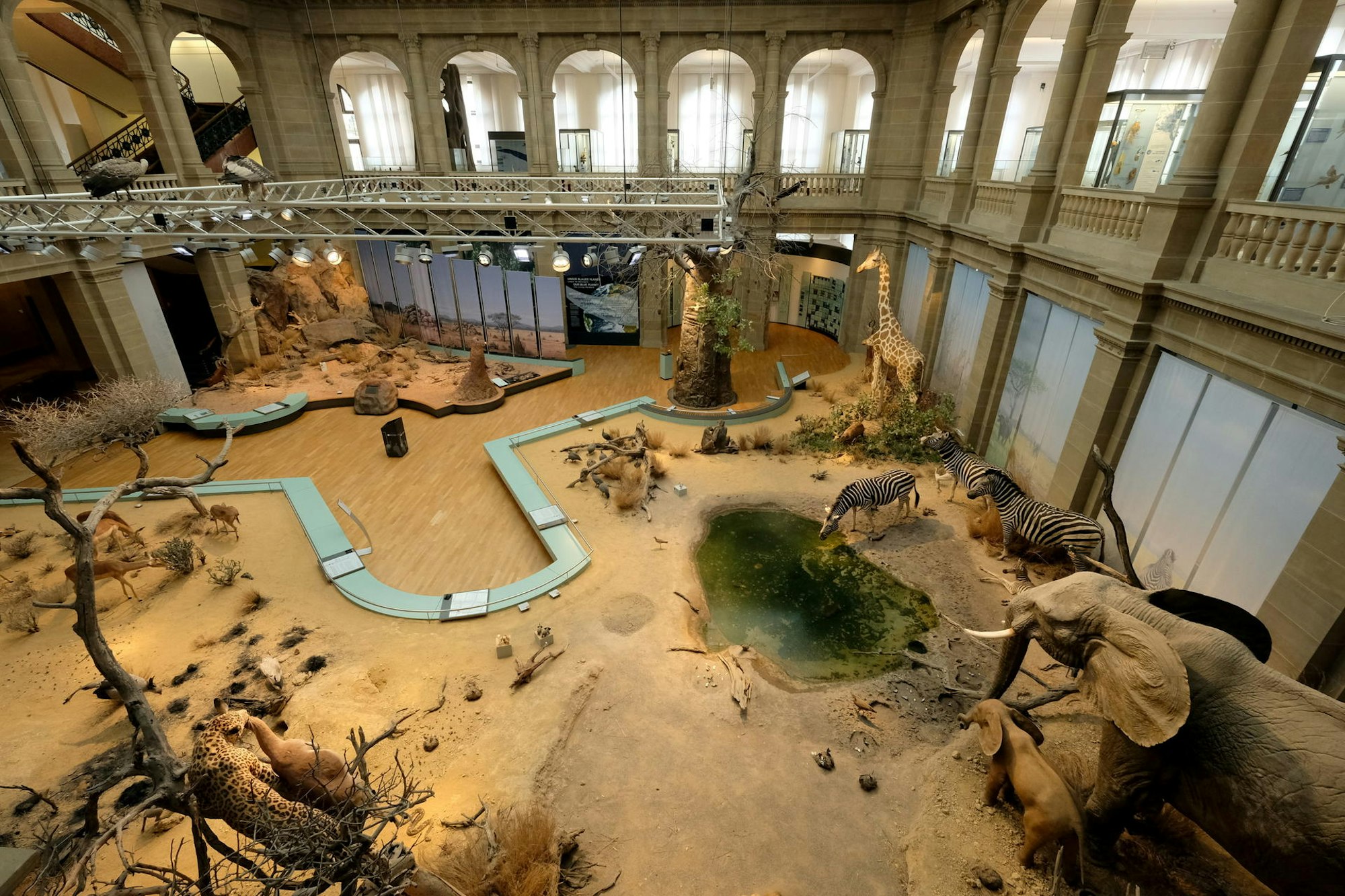 Museum König Grönert