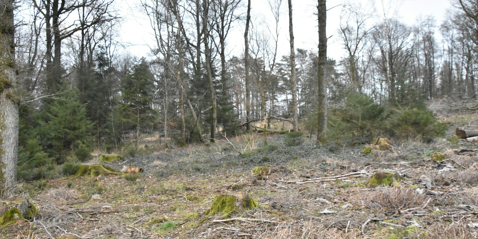 Neuer Inhalt