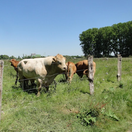 MDS-KSTA-2020-07-16-71-163076839