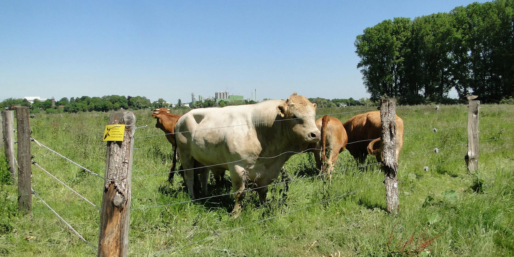 MDS-KSTA-2020-07-16-71-163076839