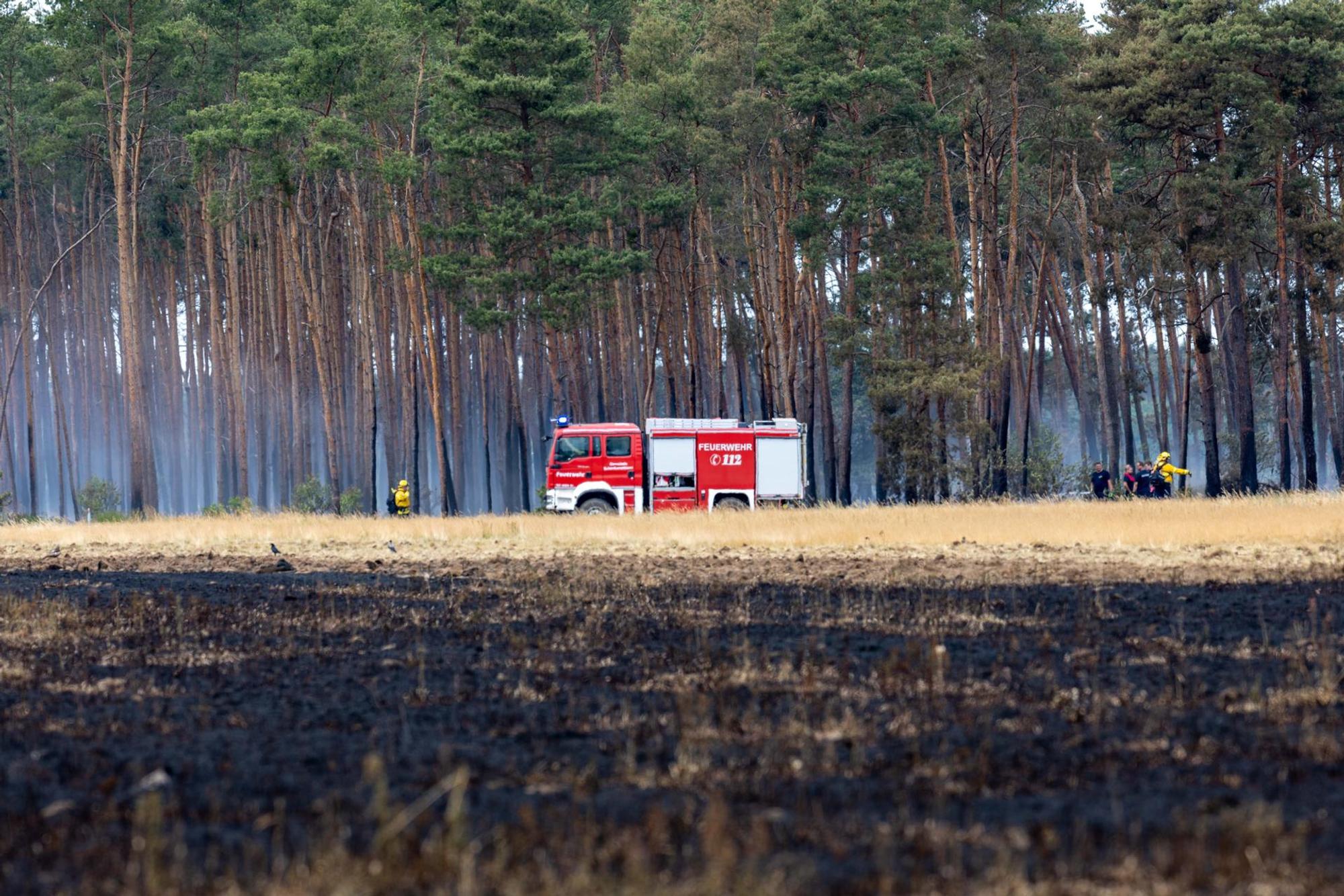 Waldbrandgefahr dpa 160722