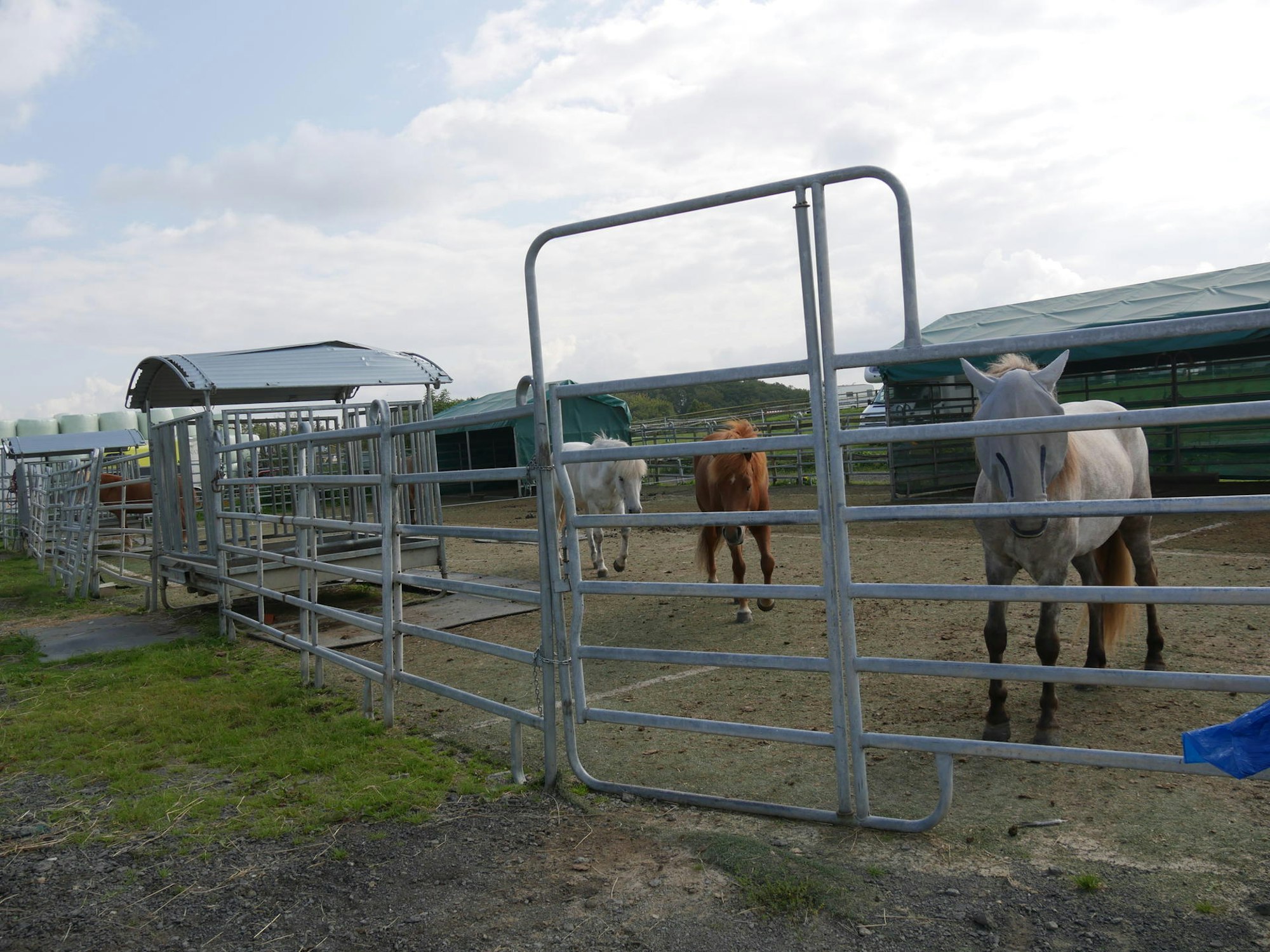 Isi-Meisterschaften 1 270821