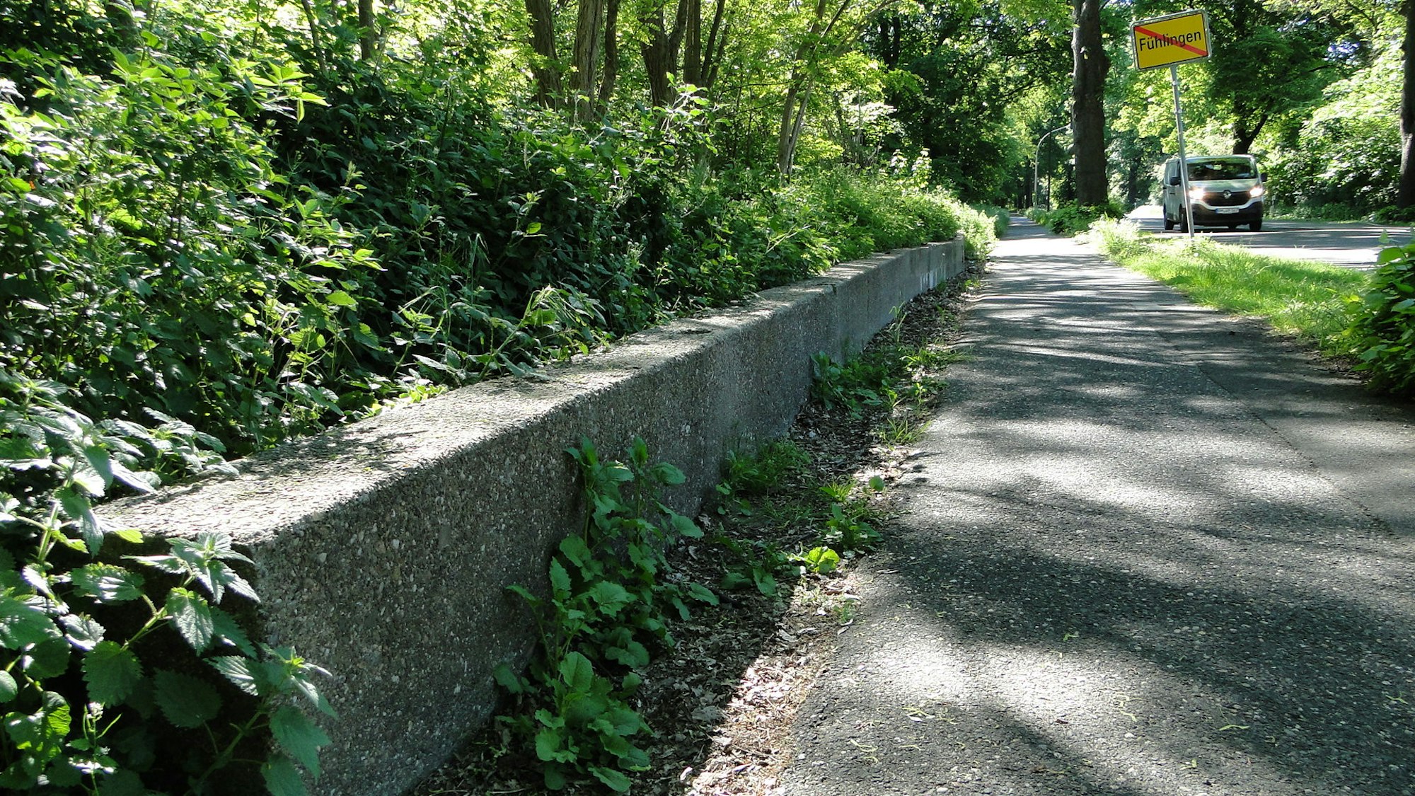 Veedelscheck_Fuehlingen_5